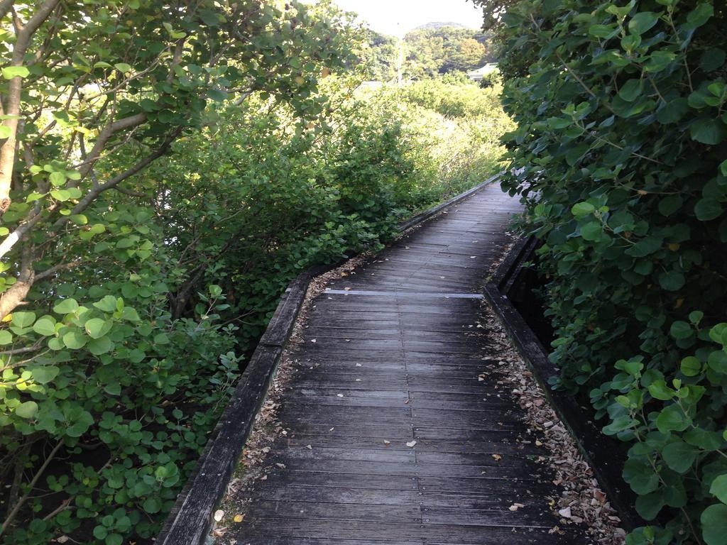 Retreat Wabi-Sabi - Walk To Ohama Beach - Max 12 Ppl Shimoda (Shizuoka) Exterior foto
